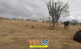 Imagem: Yes Imob - Fazenda residencial para Venda