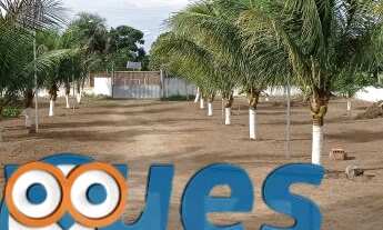 Imagem 7: Sitio para venda na Asa Branca - Pedra Ferrada com 2 tarefas e meia