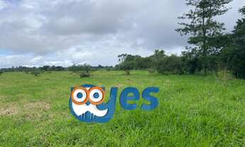 Imagem 4: FAZENDINHA COM 18 TAREFAS - SÃO GONÇALO DOS CAMPOS