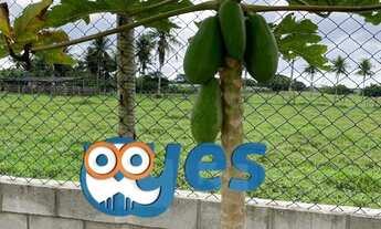 Imagem 7: FAZENDINHA COM 18 TAREFAS - SÃO GONÇALO DOS CAMPOS