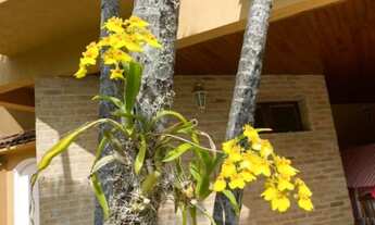 Imagem 3: Imperdível oportunidade! Casa de alto padrão em condomínio no Alphaville, Santana de Parna