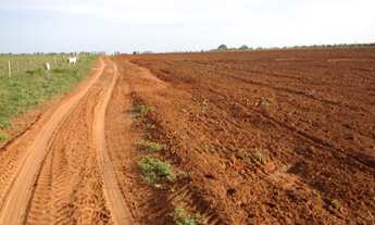 Imagem: Vendo Fazenda com Total de 1.110,67 ha