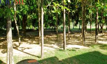 Imagem 3: FAZENDA RURAL em CAMPOS LINDOS - TO, Campos Lindos