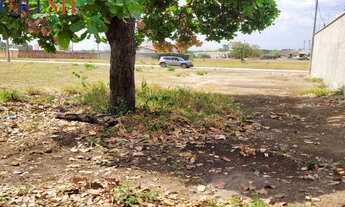 Imagem 3: Vendo terreno no parque dos Ipês em Balsas no Maranhão