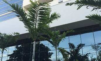 Imagem: SALA COMERCIAL em CAMPINAS - SP, CHACARA