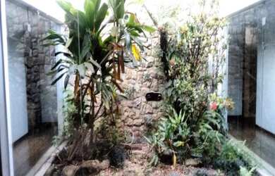 Imagem 4: CASA COMERCIAL em CAMPINAS - SP, NOVA CAMPINAS