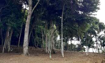 Imagem 2: SITIO RURAL em DOMINGOS MARTINS - ES, PEROBAS