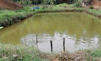 Imagem 3: SITIO RURAL em DOMINGOS MARTINS - ES, PEROBAS