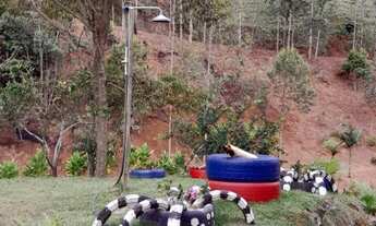 Imagem 6: SITIO RURAL em DOMINGOS MARTINS - ES, PEROBAS