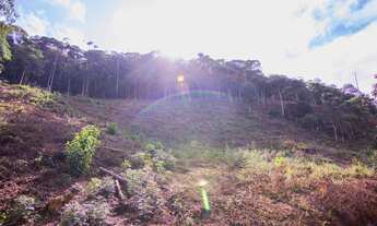 Imagem 7: TERRENO RESIDENCIAL em MARECHAL FLORIANO - ES, ARAGUAIA