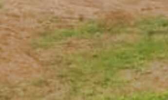 Imagem 3: Residencial Phytus. Bairro Jacaré. Venda de Terreno com 250m². Próximo Sonda supermercado