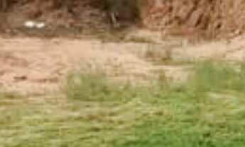 Imagem 6: Residencial Phytus. Bairro Jacaré. Venda de Terreno com 250m². Próximo Sonda supermercado