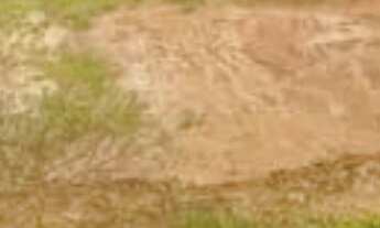 Imagem 4: Residencial Phytus. Bairro Jacaré. Venda de Terreno com 250m². Próximo Sonda supermercado