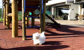 Imagem 6: Terreno condomínio Reserva Marajoara 600m2. Malota. Jundiai