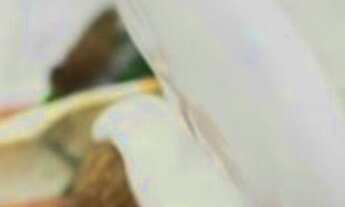 Imagem 6: APARTAMENTO RESIDENCIAL em São Paulo - SP, Aclimação