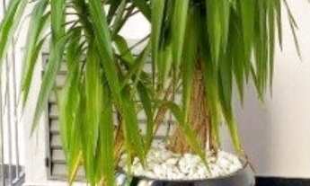 Imagem 7: APARTAMENTO RESIDENCIAL em São Paulo - SP, Bela Vista