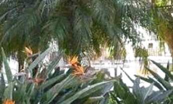 Imagem 7: APARTAMENTO RESIDENCIAL em São Paulo - SP, Moema