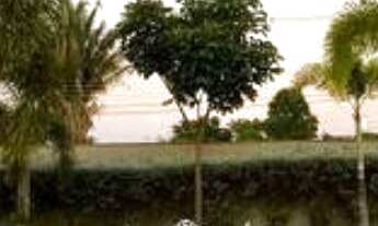 Imagem: Casa de luxo com 1.000m² de área privativa