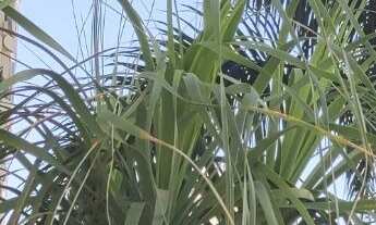 Imagem 4: Sala Comercial de 240m² em uma localização privilegiada próximo ao Plaza Shopping