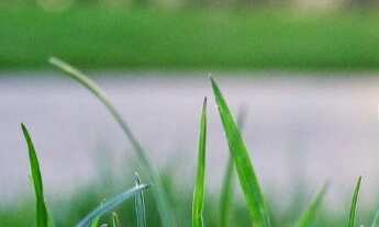 Imagem 1: Terreno em Condomínio à Venda em São José do Rio Preto - SP, Bairro Village Santa Helena