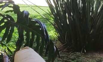 Imagem 4: Espetacular Casa no Condomínio Flamboyant Completa com 5 dormitórios, piscina grande e Con