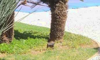 Imagem 1: Espetacular Casa no Condomínio Flamboyant Completa com 5 dormitórios, piscina grande e Con