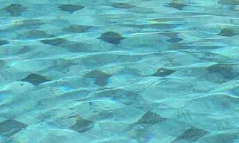 Imagem 5: Casa no Damha I Nova e Completa com 5 suítes, piscina, fino acabamento e Excelente Área Go