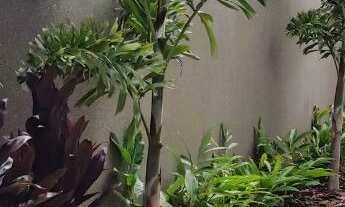 Imagem 3: Casa Nova Térrea no Eco Village II com 3 suítes, piscina e em excelente localização