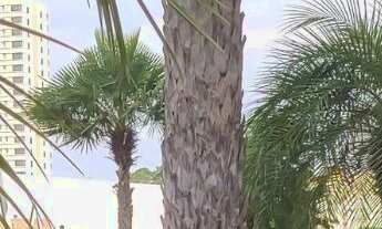 Imagem 5: Alugo Sala Comercial no Edífício Navarro Building com 274m². Raridade. Pronta!