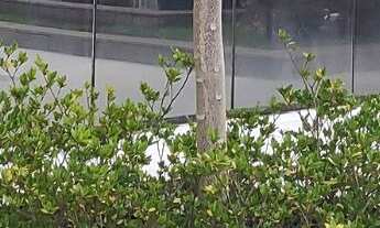 Imagem 4: Alugo Sala Comercial no Edífício Navarro Building com 274m². Raridade. Pronta!