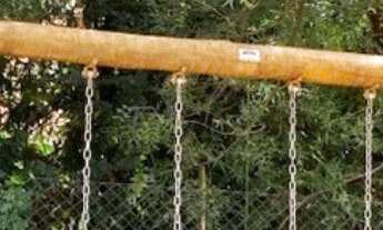 Imagem 7: Chácara no Jardim das Acácias com 5.000m² de terreno em excelente localização! Privacidade