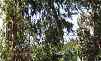 Imagem 6: Vendo linda chácara no Condomínio Monte Carlo com 1.672m² de terreno e 210m² de área útil