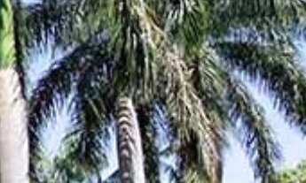 Imagem 7: Vendo linda chácara no Condomínio Monte Carlo com 1.672m² de terreno e 210m² de área útil