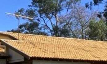 Imagem 3: Chácara no Jardim das Acácias com 5.000m² de terreno em excelente localização! Privacidade