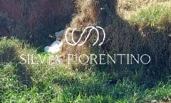 Imagem: Terreno à venda em Taubaté-SP, Jardim