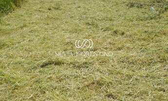 Imagem: TERRENO RESIDENCIAL em TAUBATÉ - SP, VILA