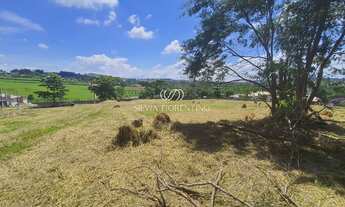 Imagem 3: Terreno em Condomínio à Venda em Taubaté-SP, 990m² na Chácara São Félix: Oportunidade Únic