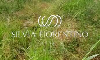 Imagem: Terreno à venda em Taubaté-SP, no Residencial