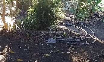 Imagem 5: Terreno à venda em Taubaté-SP, Vila Nossa Senhora das Graças - 1.770,00 m² de área!