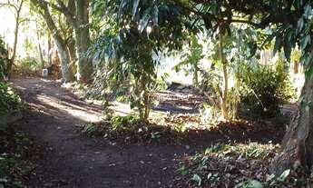 Imagem 7: Terreno à venda em Taubaté-SP, Vila Nossa Senhora das Graças - 1.770,00 m² de área!