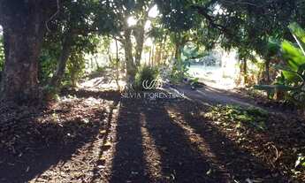 Imagem: Terreno à venda em Taubaté-SP, Vila Nossa