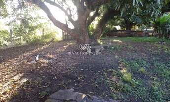 Imagem 3: Terreno à venda em Taubaté-SP, Vila Nossa Senhora das Graças - 1.770,00 m² de área!