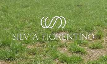 Imagem 2: Terreno de 428m² à venda em Taubaté-SP, no bairro Granjas Rurais Reunidas São Judas Tadeu