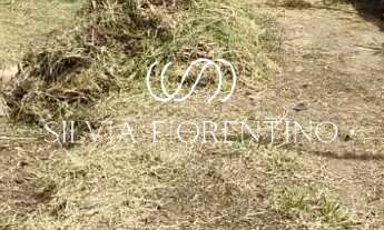 Imagem: Terreno à venda em Tremembé-SP, Ladeira