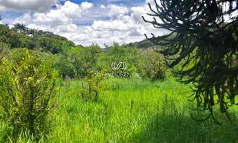 Imagem 2: Terreno à venda em São Luiz do Paraitinga-SP: 107m² de oportunidade no bairro X!