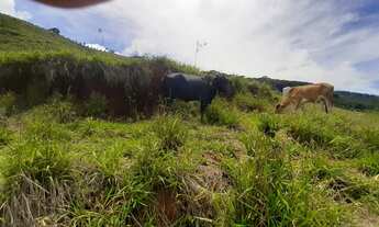 Imagem 2: TERRENO RESIDENCIAL em TAUBATÉ - SP, SANTA LUZIA RURAL