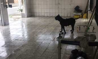 Imagem 3: CASA COM PISCINA BAIRRO BOM RETIRO