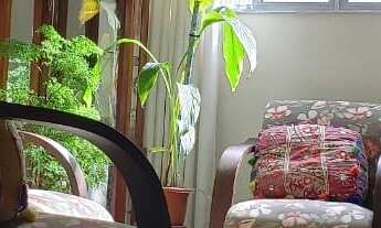 Imagem: 2 DORMITÓRIOS NO MARAPÉ