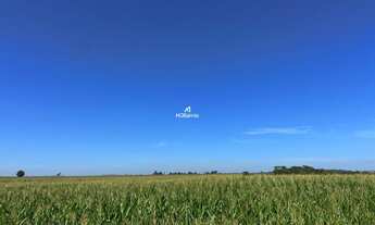 Imagem 2: Fazenda de Soja à venda no munícipio Laguna Carapã - MS