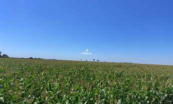Imagem 5: Fazenda de Soja à venda no munícipio Laguna Carapã - MS